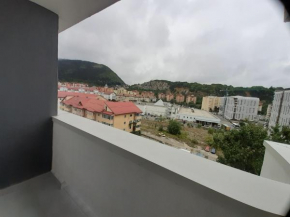 Anca Alphaville III